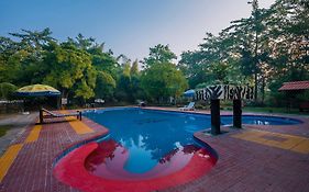 Jungle King Resort